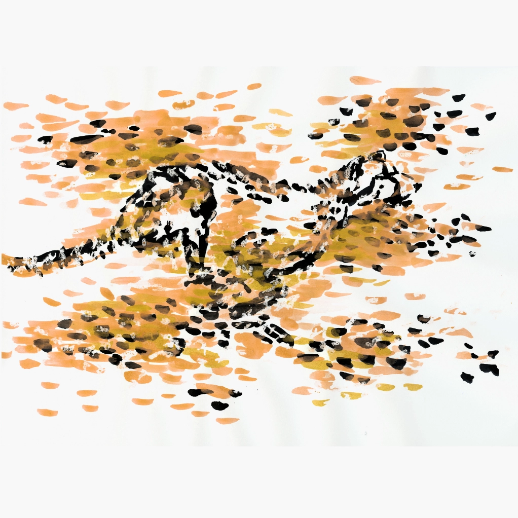 Zvířecí ilustrace